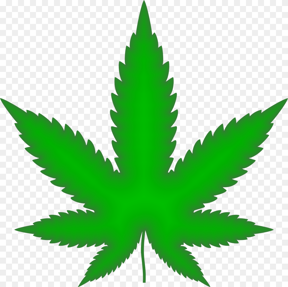 Green Marijuana Leaf, Plant, Weed, Animal, Fish Png Image