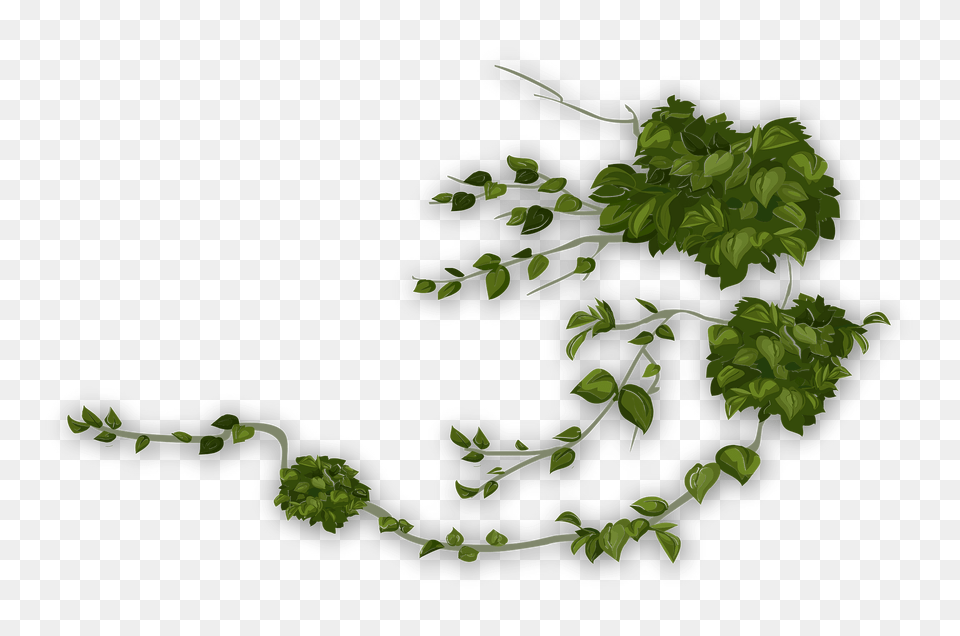 Green Moss Clipart, Vegetation, Tree, Rainforest, Plant Free Transparent Png