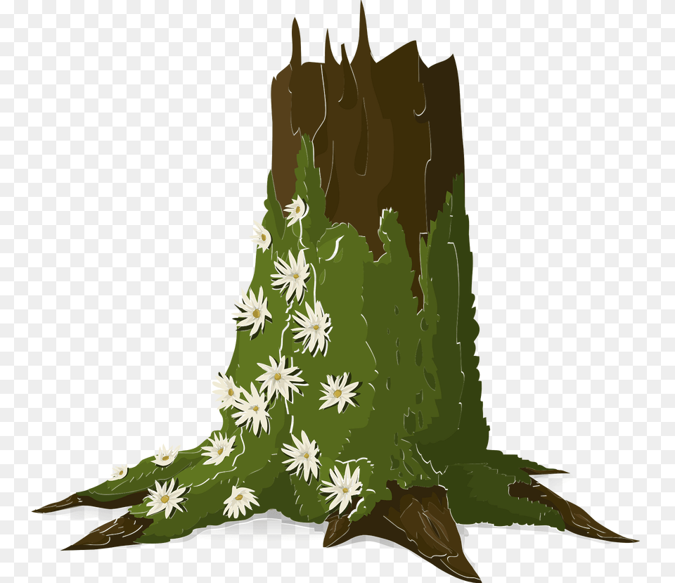 Green Moss Tree Trunk Clipart, Plant, Vegetation, Tree Stump, Shark Free Png