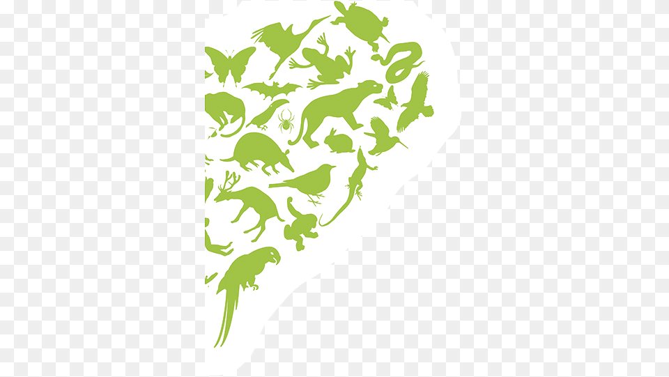Green Motion Heart Donation Illustration, Animal, Turtle, Sea Life, Reptile Free Png Download