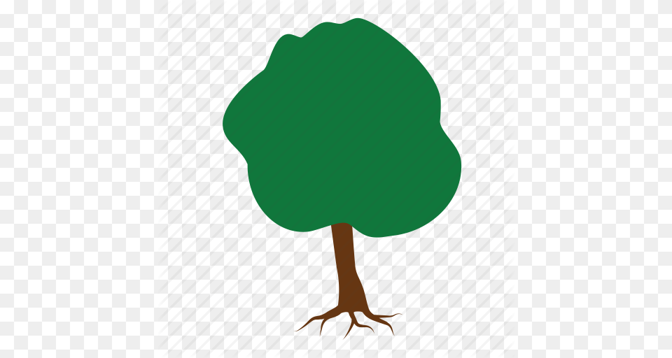 Green Nature Root Roots Stump Tree Trees Icon, Animal, Beak, Bird Free Png