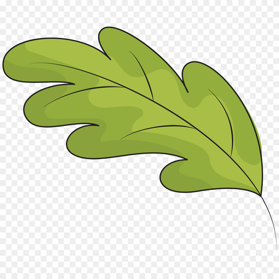 Green Oak Leaf Clipart, Plant, Tree, Animal, Snake Png