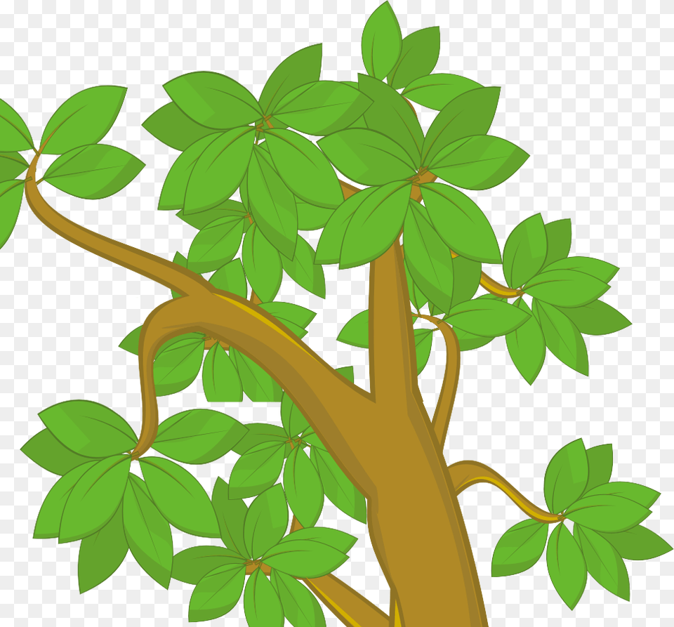 Green Oak Tree Silhouette Clip Art Rh Kitchendecor Cartoon Tree Drawing Leaves, Nature, Vegetation, Jungle, Plant Png Image