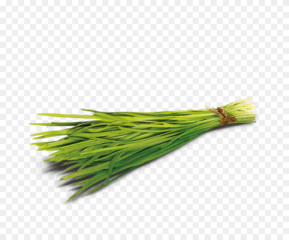 Green Oat Grass, Food, Plant, Produce, Spring Onion Free Png