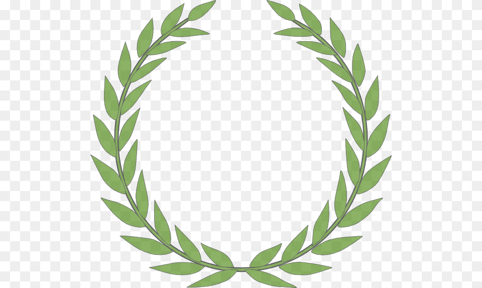 Green Olive, Leaf, Plant, Herbal, Herbs Free Transparent Png