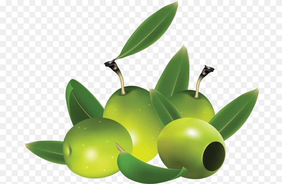 Green Olive Picture Clipart Olives, Leaf, Plant, Food, Fruit Free Png Download