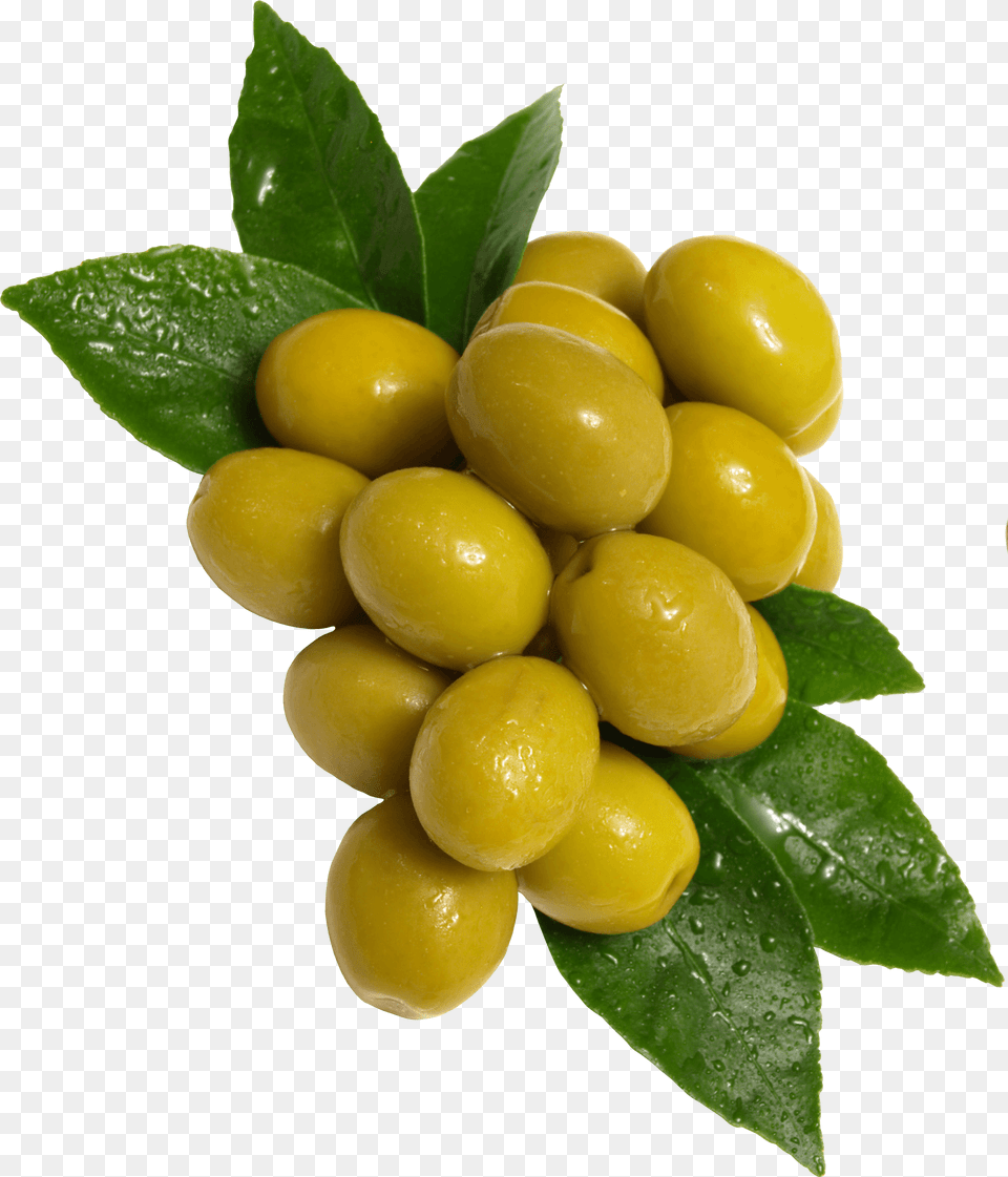 Green Olives, Citrus Fruit, Food, Fruit, Leaf Png