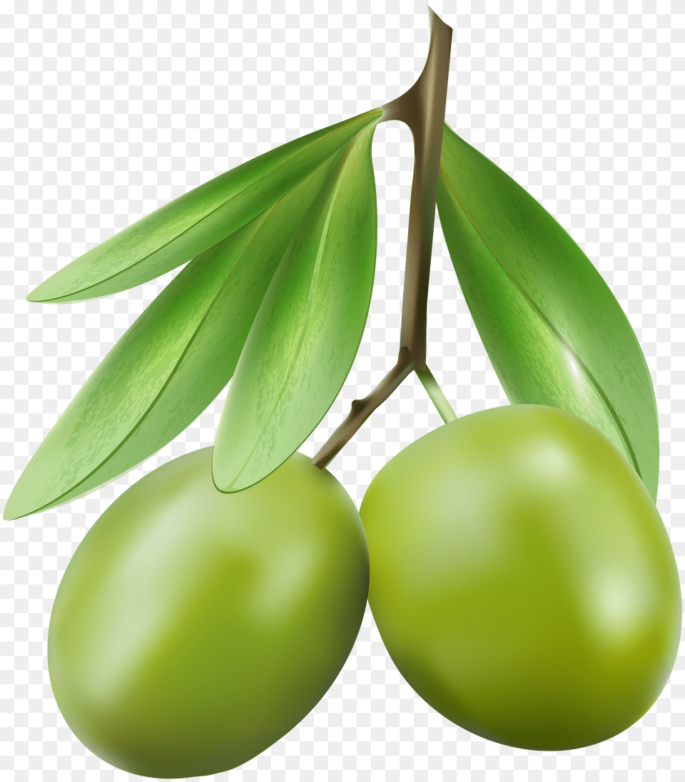 Green Olives Clip Art Free Transparent Png