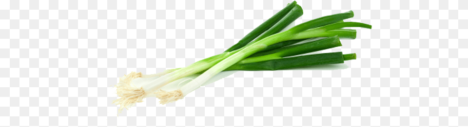 Green Onion Green Onion No Background, Food, Produce, Plant, Spring Onion Free Transparent Png