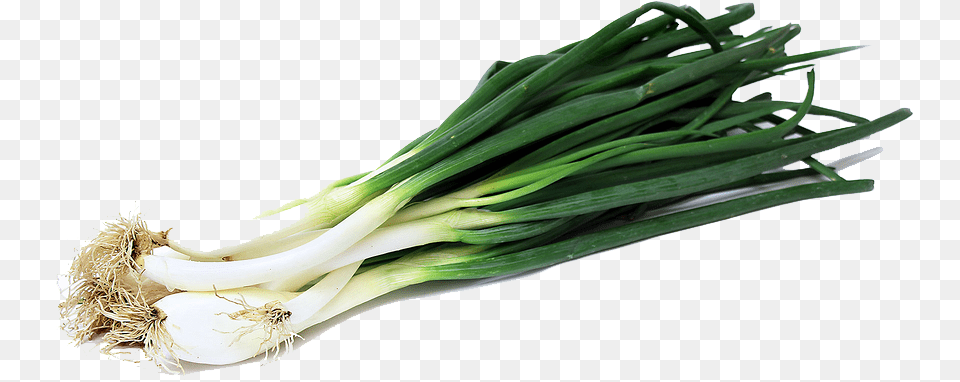 Green Onion Image Green Onion, Food, Produce, Plant, Spring Onion Png
