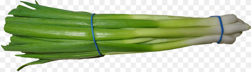 Green Onion Transparent, Food, Plant, Produce, Spring Onion Free Png