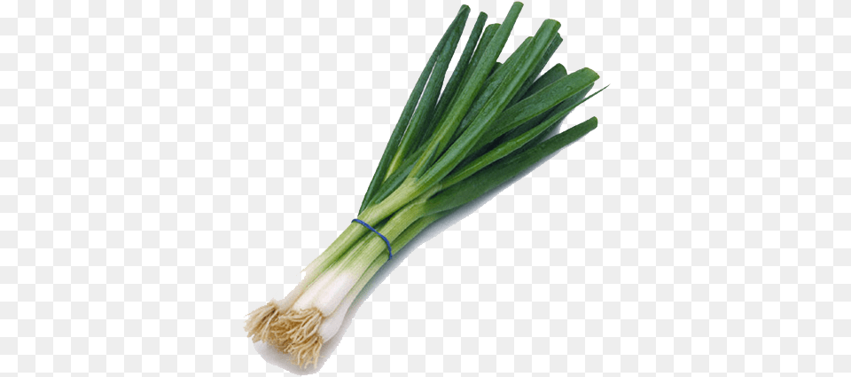 Green Onion Transparent Image Green Onion, Food, Produce, Plant, Spring Onion Free Png Download