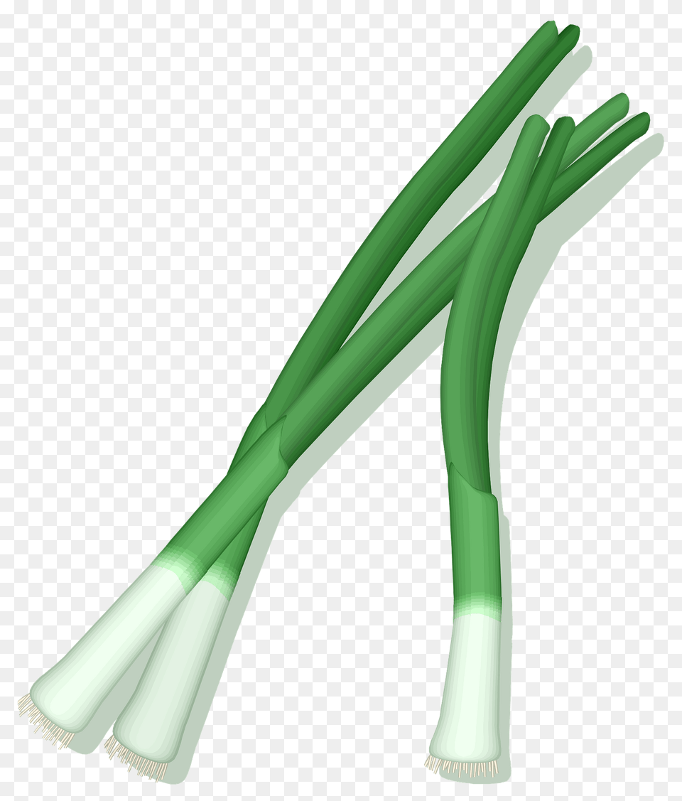 Green Onions Clipart, Food, Produce, Plant, Spring Onion Free Png