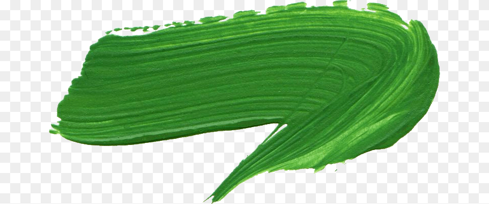 Green Paint Brush Stroke, Leaf, Plant Free Transparent Png
