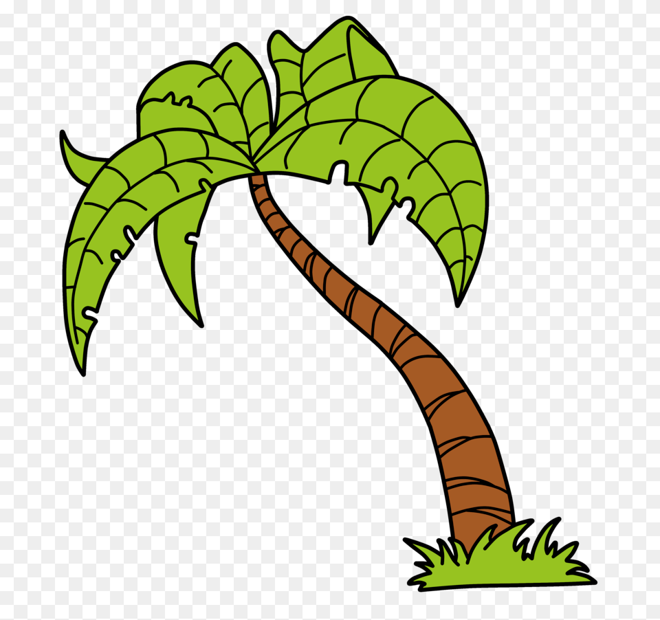 Green Palm Tree Vector, Vegetation, Plant, Palm Tree, Leaf Png Image