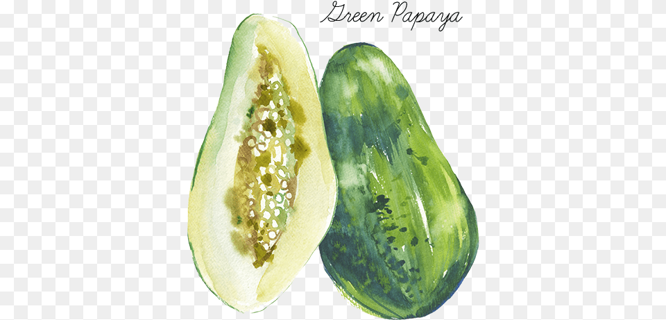 Green Papaya Gourd, Food, Fruit, Plant, Produce Free Png