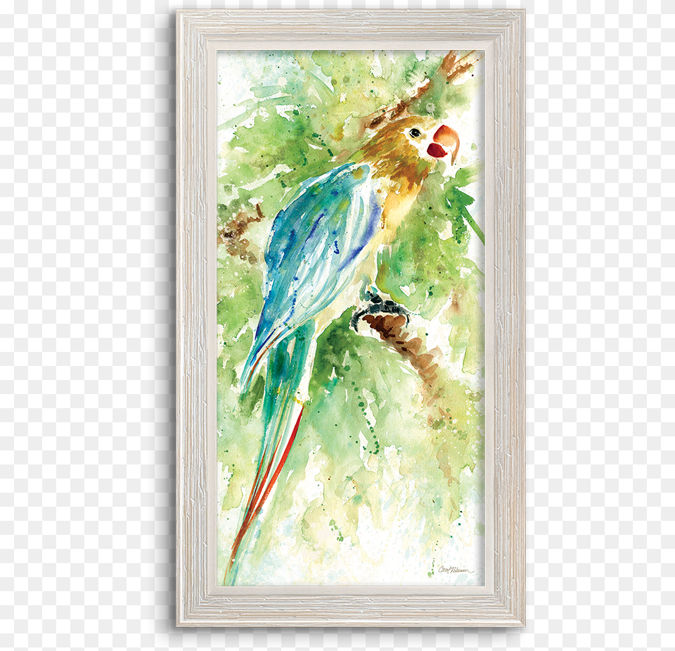 Green Parrot, Animal, Beak, Bird, Art Png
