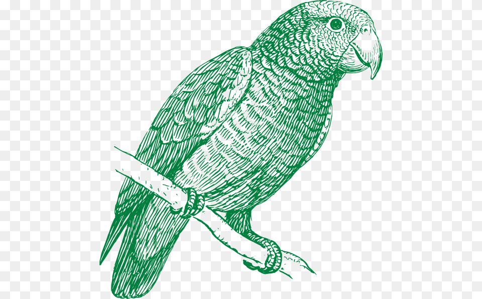 Green Parrot Svg Clip Arts Parakeet Black And White, Animal, Bird Png