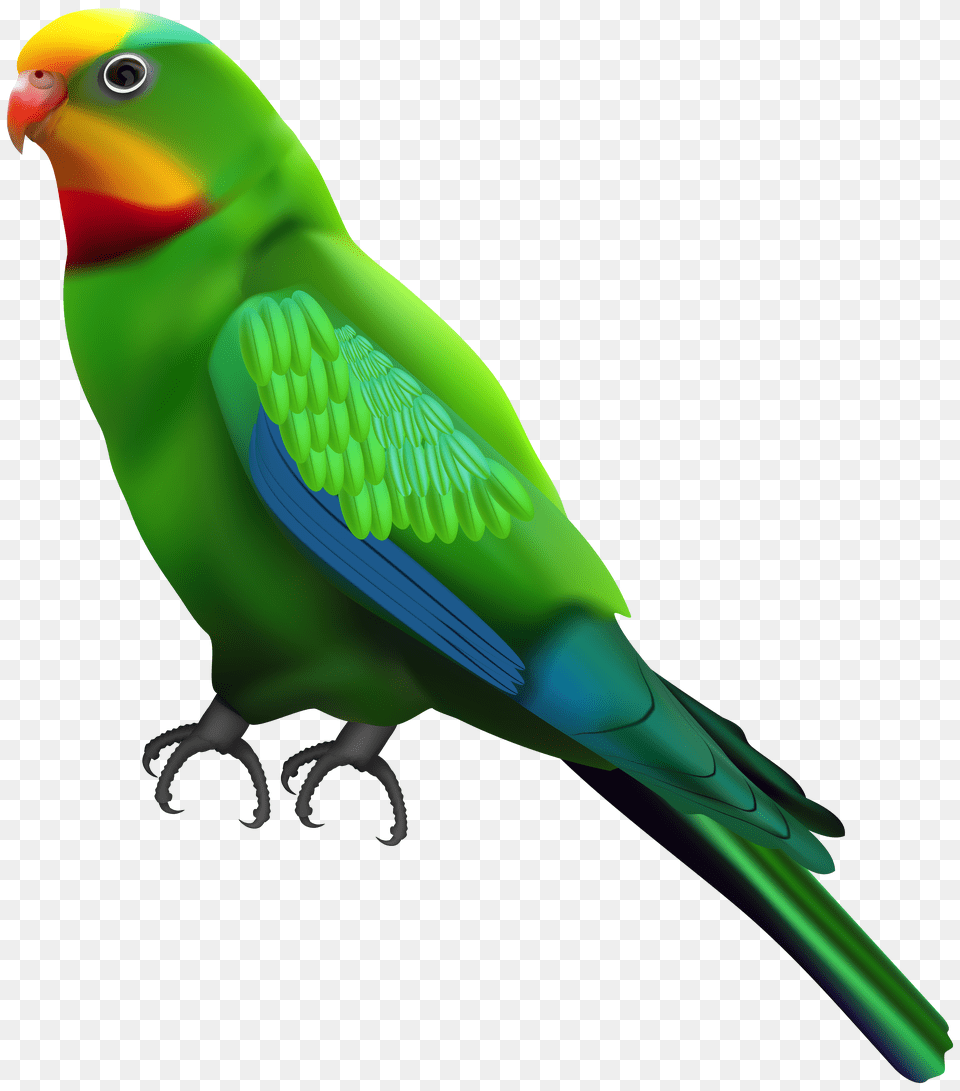 Green Parrot Transparent Clip Art Png