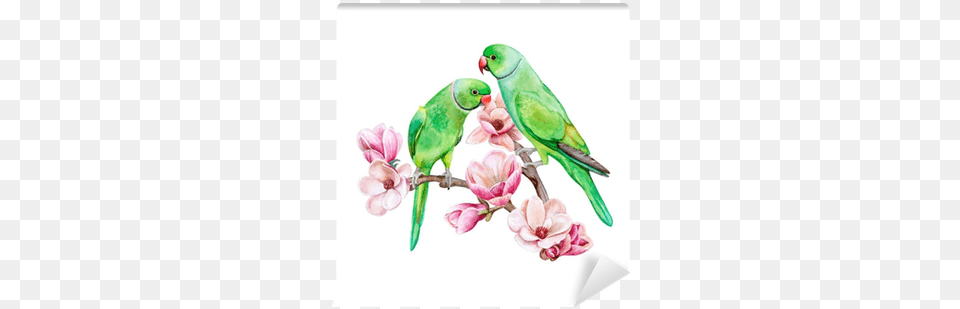 Green Parrots Sitting On A Flowering Branch Of A Magnolia Rose Ringed Parakeet, Animal, Bird, Parrot Png