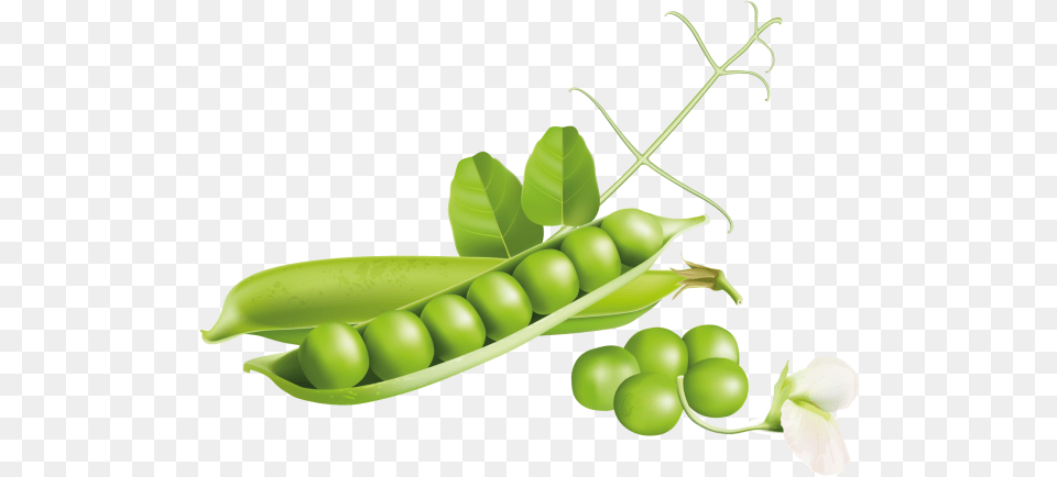Green Pea Cartoon Legumes, Food, Plant, Produce, Vegetable Free Png Download