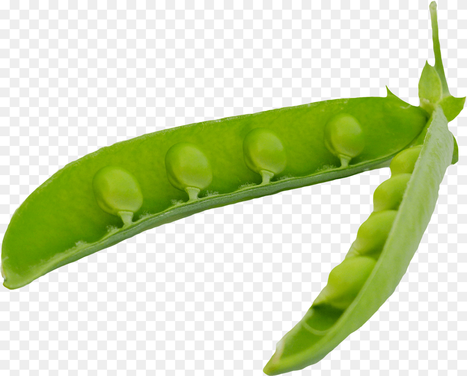 Green Peas Pods Pea In Pod, Food, Plant, Produce, Vegetable Free Transparent Png