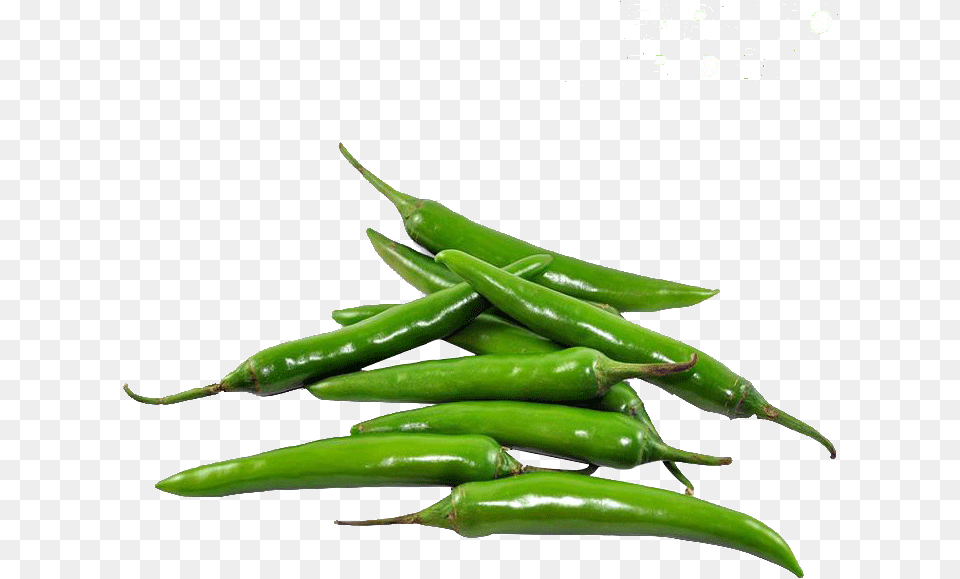 Green Pepper Green Chilli, Plant, Food, Produce, Vegetable Png
