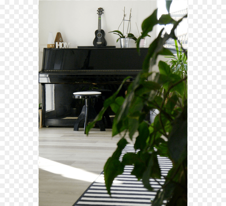 Green Piano Interior Portable Network Graphics, Grand Piano, Musical Instrument, Keyboard, Floor Png