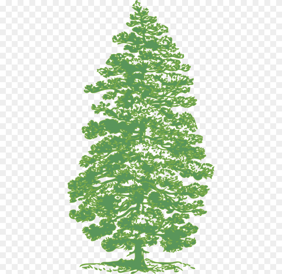Green Pine Tree Clip Art Vector Clip Art Brush Photoshop Pine Trees, Fir, Plant, Conifer, Vegetation Free Transparent Png