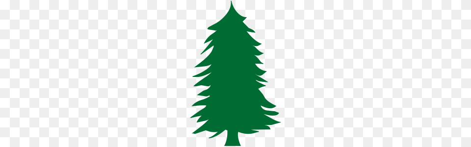 Green Pine Tree Silhouette, Plant, Person, Christmas, Christmas Decorations Png Image