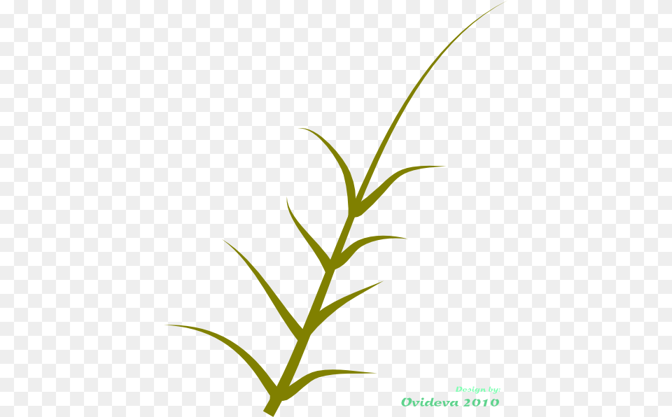 Green Plant Clip Art, Grass, Herbal, Herbs, Leaf Png Image