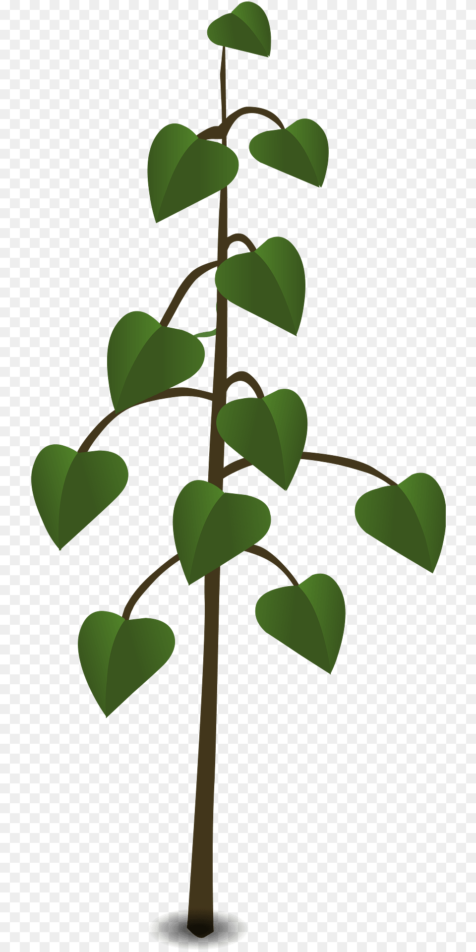 Green Plant Clipart, Leaf, Potted Plant, Tree, Dynamite Free Png Download