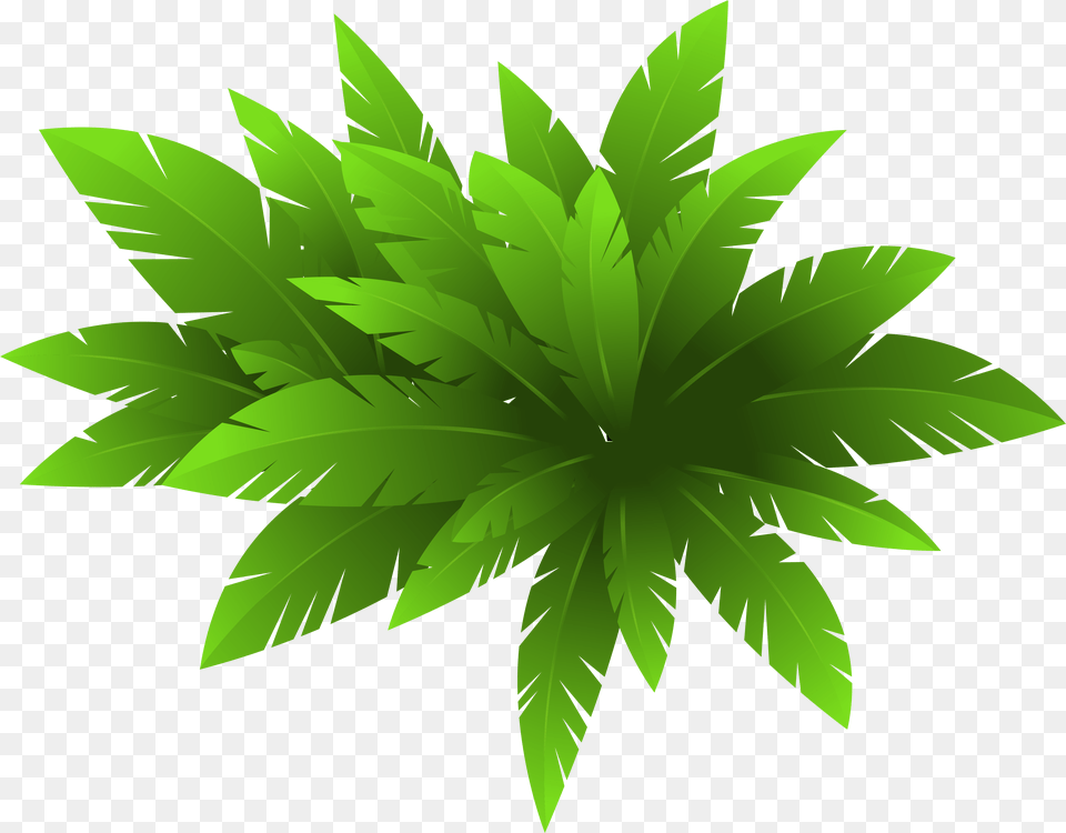 Green Plant Decoration Clipart Image Illustrator Plant, Leaf, Vegetation, Herbal, Herbs Png