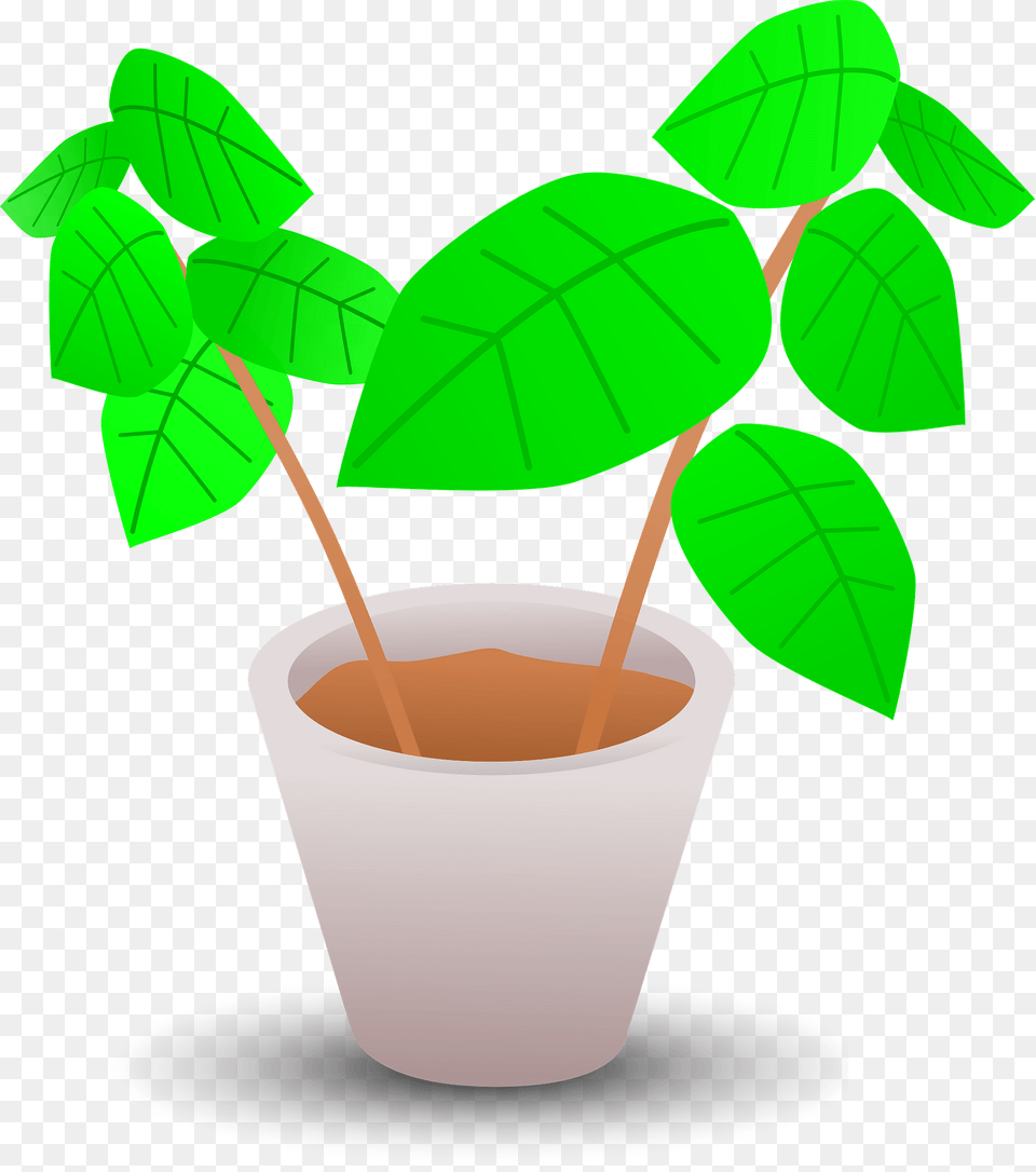 Green Plant In A White Pot Clipart, Herbal, Herbs, Leaf Png