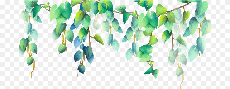 Green Plant Plants Pngstickers Border Watercolor Leaves, Leaf, Vine Free Png