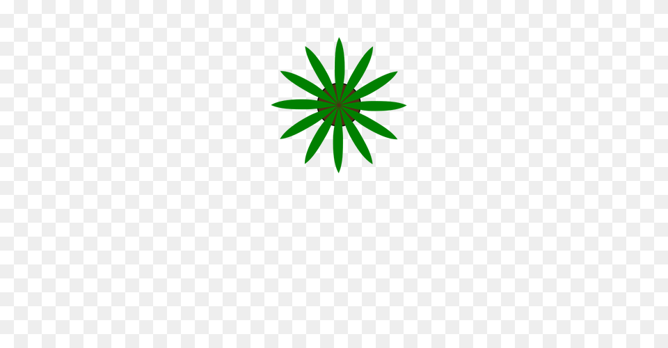 Green Plant Top View Vector Drawing, Leaf, Flower, Pattern Free Png