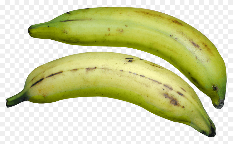 Green Plantain, Banana, Food, Fruit, Plant Free Transparent Png
