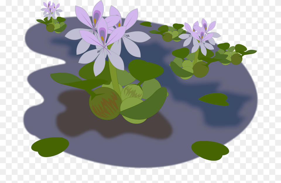 Green Plants And Purple Flowers In A Pond Clipart, Flower, Geranium, Plant, Art Free Png