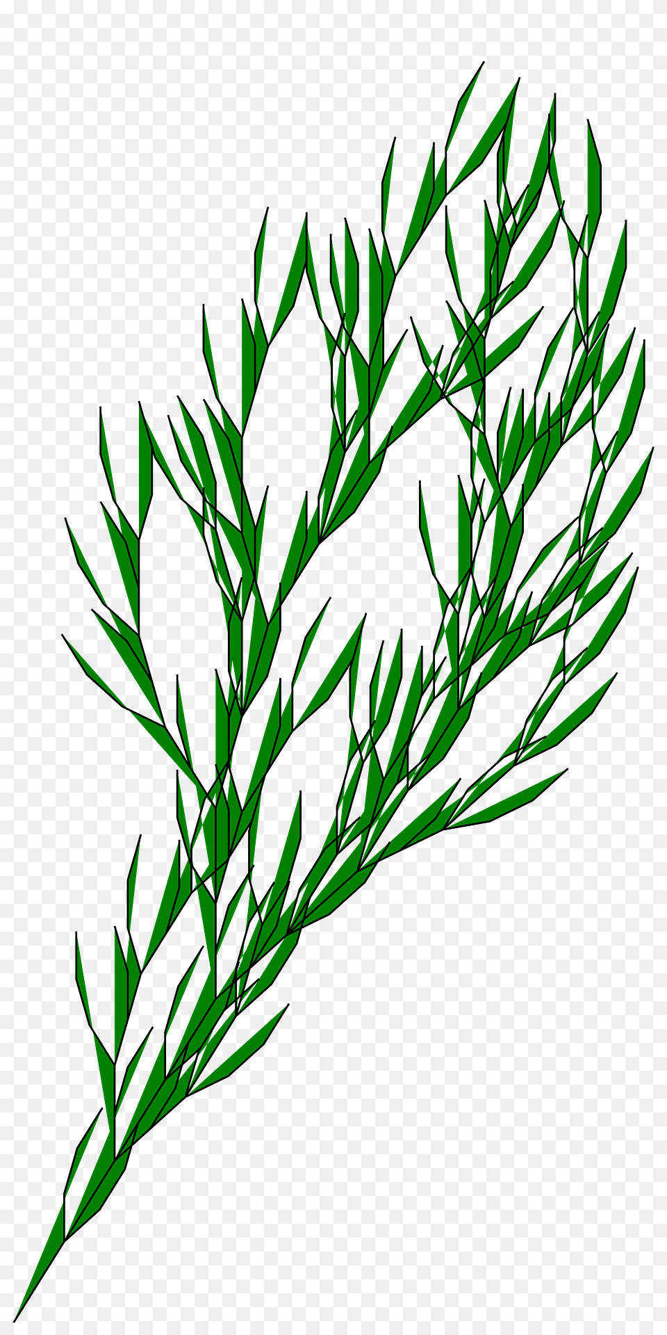Green Plants Clipart, Dill, Food, Plant, Seasoning Png Image