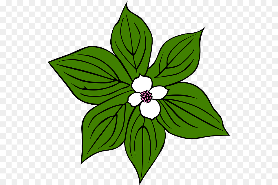 Green Plants Flower Flowers Cartoon Leaves Jungle, Leaf, Plant, Annonaceae, Tree Png Image