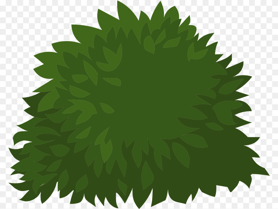 Green Plants Leaves Vector Graphic On Pixabay Busk, Leaf, Plant, Vegetation, Moss Free Transparent Png