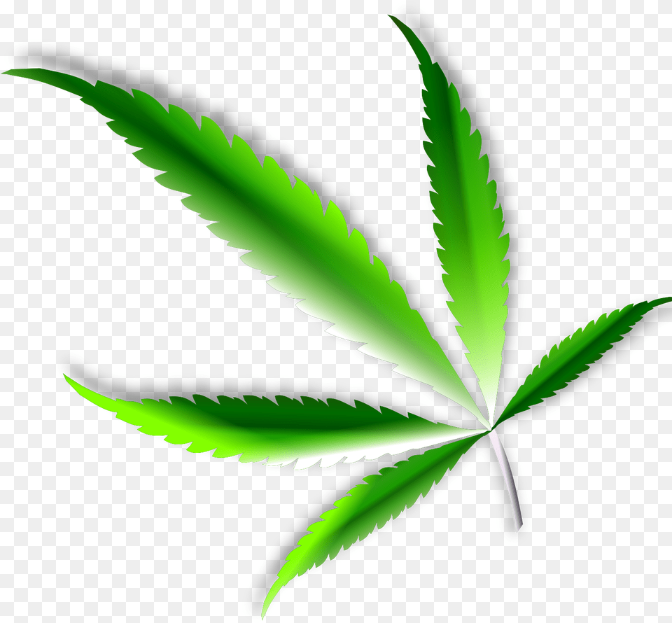 Green Pot Leaf, Plant, Weed, Animal, Dinosaur Free Transparent Png