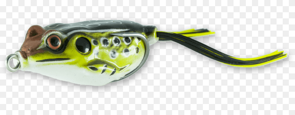 Green Pufferfish Download Green Topwater Frog, Animal, Fish, Sea Life, Puffer Free Png