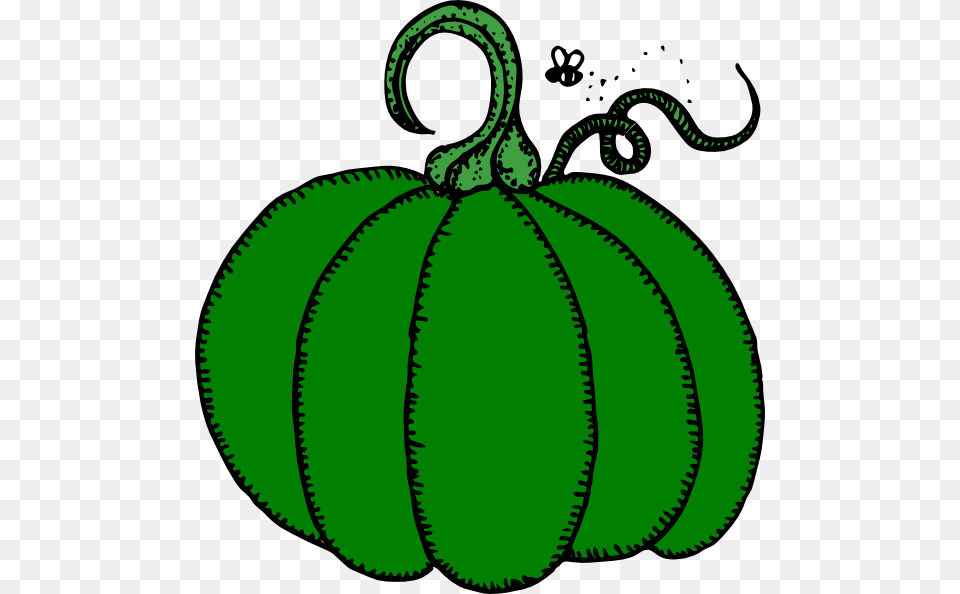 Green Pumpkin Clip Arts For Web, Food, Fruit, Plant, Produce Free Png