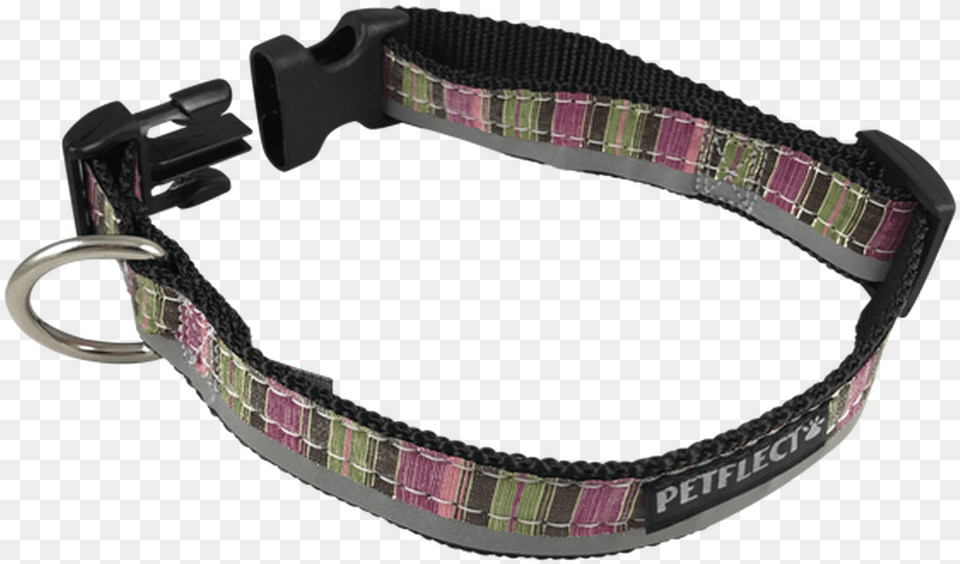Green Purple Vertically Striped Dog Collar Strap, Accessories Png Image