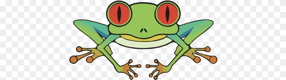 Green Red Eyed Tree Frog, Amphibian, Animal, Wildlife, Tree Frog Free Transparent Png
