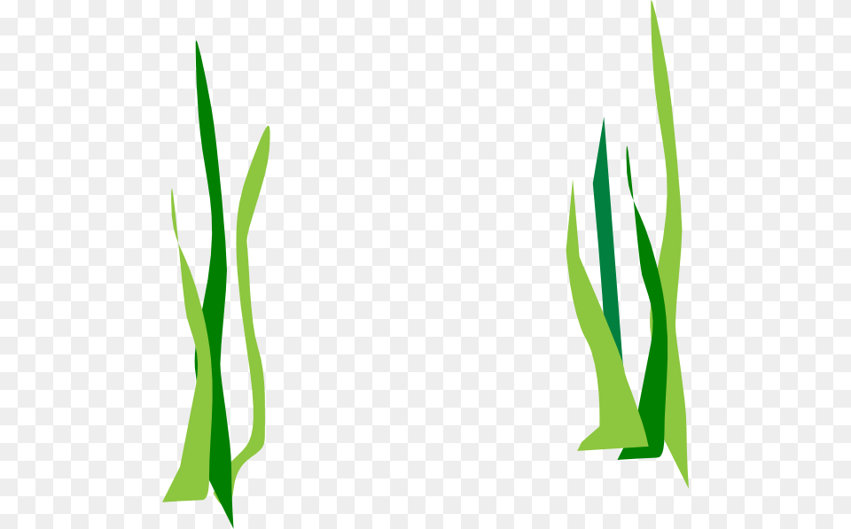 Green Reeds Clip Art For Web, Grass, Herbal, Herbs, Plant Free Png Download