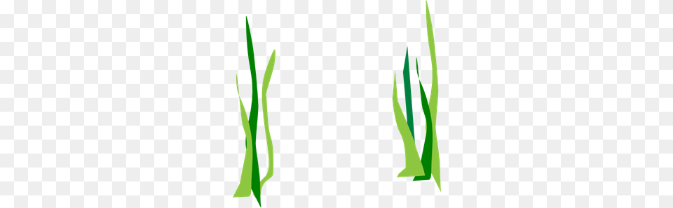 Green Reeds Clip Art For Web, Grass, Plant, Vegetation, Leaf Free Transparent Png