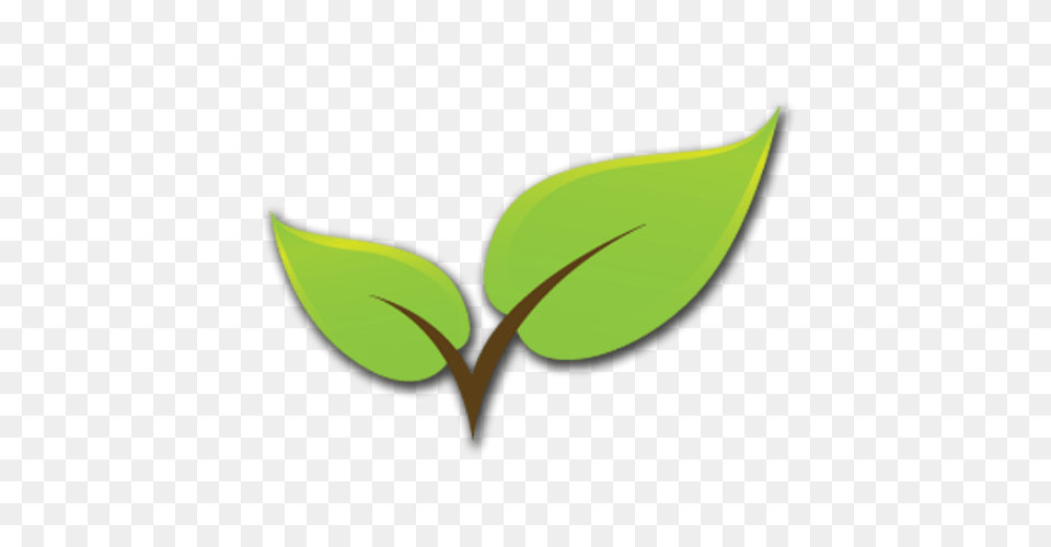 Green Revolution On Twitter Dc Green Internship, Leaf, Plant, Herbal, Herbs Png