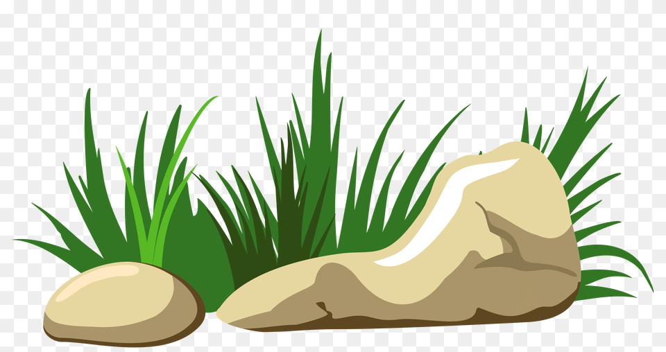 Green Rock Cliparts, Grass, Plant, Vegetation, Potted Plant Free Transparent Png